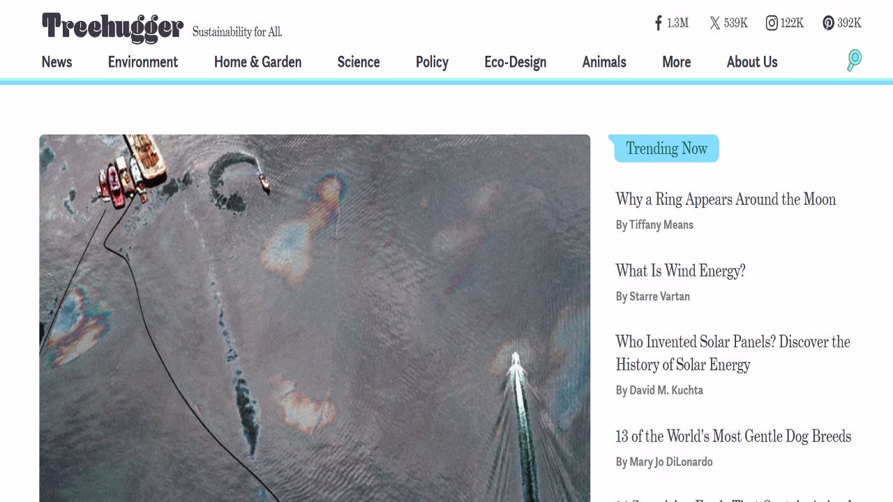 Tree hugger environment awareness blog Futurecept | Blogs Screenshot or Illustration of Tree Hugger Blog Focused on Environmental Awareness and Sustainability