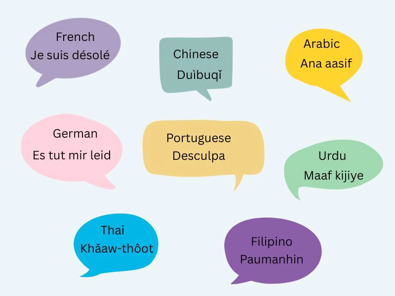 Infographic Showing How to Say Sorry in Different Languages Like French Chinese Turkish Filipino and Russian